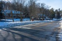 the street is empty in winter time and is full of snow and shrubs on both sides