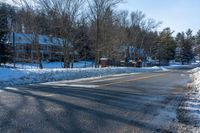 the street is empty in winter time and is full of snow and shrubs on both sides