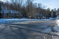 the street is empty in winter time and is full of snow and shrubs on both sides