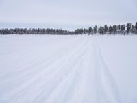 the ground is covered with snow and there are tracks in it that are shown from skis, as well