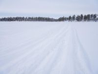 the ground is covered with snow and there are tracks in it that are shown from skis, as well