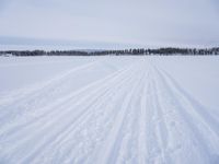 the ground is covered with snow and there are tracks in it that are shown from skis, as well