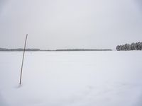 a man on skis on an empty snowy field near the woods, with snow covering all the ground