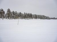 this photo is taken in winter time, and shows snow - covered trees on a field