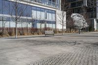 Winter Scene in Toronto: City Street Covered in Snow