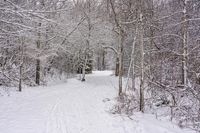 Winter Landscape in Ontario, Canada