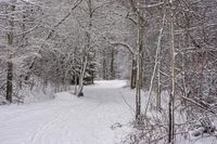 Winter Landscape in Ontario, Canada