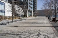 Winter in a Suburban Neighborhood in Toronto