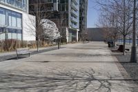 Winter in a Suburban Neighborhood in Toronto