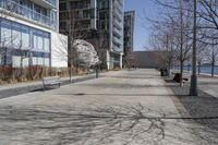 Winter in a Suburban Neighborhood in Toronto