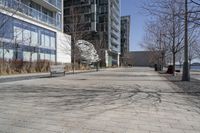 Winter in a Suburban Neighborhood in Toronto