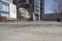 Winter in a Suburban Neighborhood in Toronto