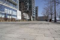 Winter in a Suburban Neighborhood in Toronto