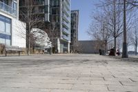 Winter in a Suburban Neighborhood in Toronto