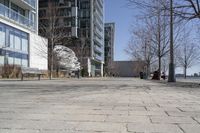 Winter in a Suburban Neighborhood in Toronto