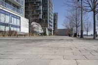 Winter in a Suburban Neighborhood in Toronto