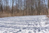 two tracks in the snow of an open trail with trees and bushes with no leaves