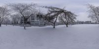 trees with thin branches and some white snow in the winter on the ground is a white building