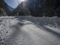 Winter Wilderness: Exploring the Beautiful Landscapes of Switzerland