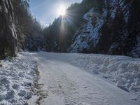 Winter Wilderness: Exploring the Beautiful Landscapes of Switzerland