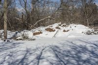 a fire hydrant sits in the snow near some trees and bushes on a slope