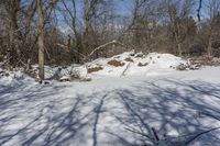 a fire hydrant sits in the snow near some trees and bushes on a slope