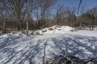 a fire hydrant sits in the snow near some trees and bushes on a slope