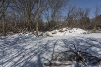 a fire hydrant sits in the snow near some trees and bushes on a slope