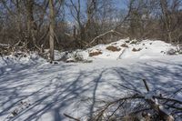 a fire hydrant sits in the snow near some trees and bushes on a slope