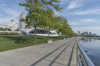 Wisconsin River Bank: A Landscape of Nature