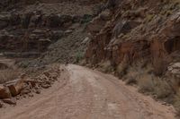 a woman is sitting on a motorcycle and waiting to cross the street on a dirt road in a canyon