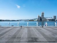 a woman walks on a pier while two pigeons sit in front of her next to water