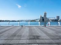 a woman walks on a pier while two pigeons sit in front of her next to water