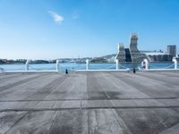 a woman walks on a pier while two pigeons sit in front of her next to water