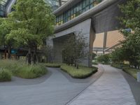 a wood walkway has two trees near it and another building and a tall stone structure