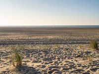 a wooden bench on the beach with its beach area in front of it and a few sand dunes