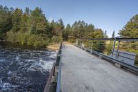 a wooden bridge spans across the forest from a water fall spill, along with a dam