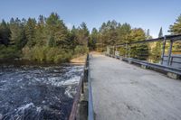 a wooden bridge spans across the forest from a water fall spill, along with a dam