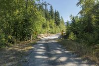 a wooden bridge and some trees on a road in the wilderness area of canada where the bridge is not crossing