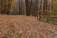 a wooden fence sits next to a leaf strewn area in the woods with a wooden fence, a fence and tall trees