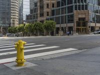 the yellow fire hydrant is on a city street in front of tall buildings and a street sign