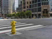 the yellow fire hydrant is on a city street in front of tall buildings and a street sign