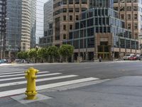 the yellow fire hydrant is on a city street in front of tall buildings and a street sign