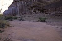 a yellow fire hydrant stands in front of the rock wall of a large canyon