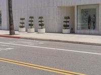 Yellow Lines on Asphalt Road - Zebra Crossing 001