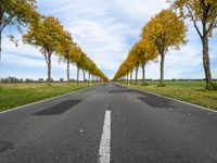 an empty road is shown with yellow trees lining the sides of each one and two long white lines on the other