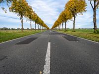 an empty road is shown with yellow trees lining the sides of each one and two long white lines on the other