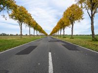 an empty road is shown with yellow trees lining the sides of each one and two long white lines on the other