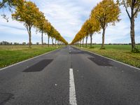 an empty road is shown with yellow trees lining the sides of each one and two long white lines on the other