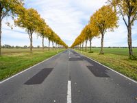 an empty road is shown with yellow trees lining the sides of each one and two long white lines on the other